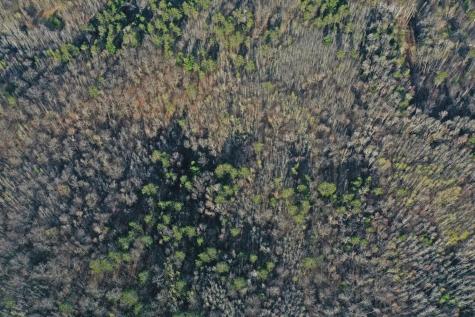 0000 Smoky Hills Trail Osage MN 56570