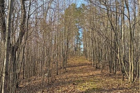 0000 Smoky Hills Trail Osage MN 56570
