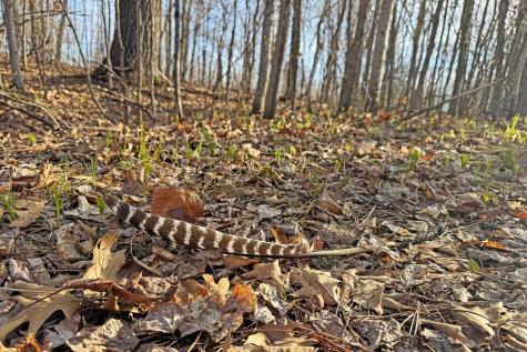 0000 Smoky Hills Trail Osage MN 56570