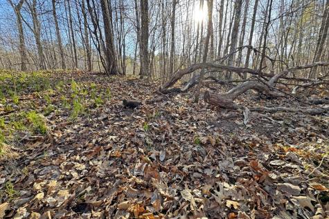 0000 Smoky Hills Trail Osage MN 56570