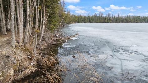 19555 County Road 452 Deer River MN 56636