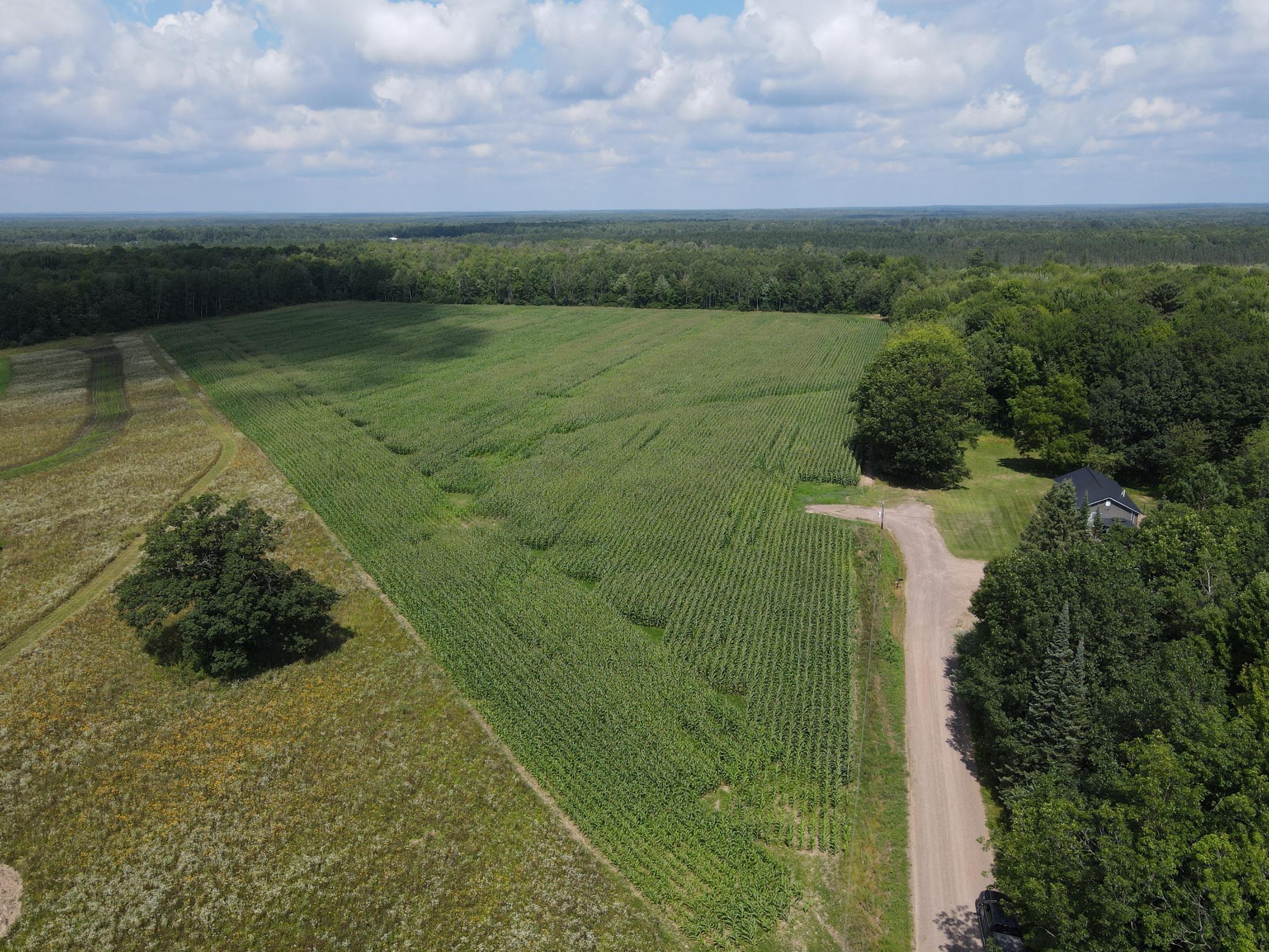 Tbd Schalk Road Ogema WI 54459