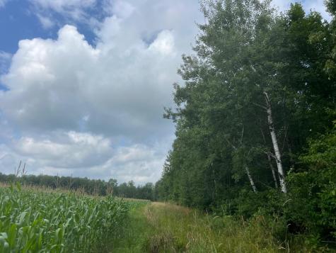 Tbd Schalk Road Ogema WI 54459
