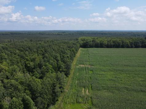 Tbd Schalk Road Ogema WI 54459