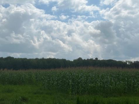 Tbd Schalk Road Ogema WI 54459