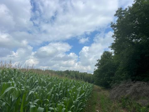 Tbd Schalk Road Ogema WI 54459