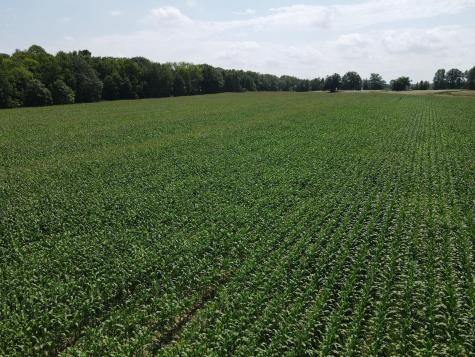 Tbd Schalk Road Ogema WI 54459