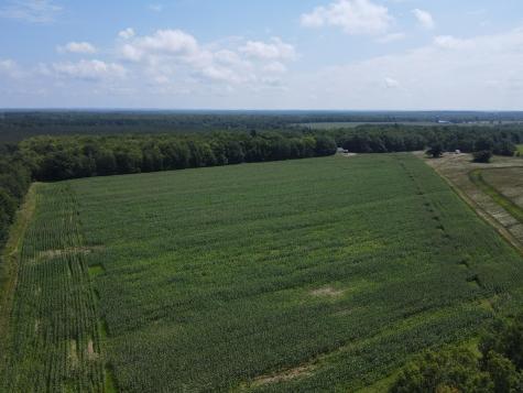 Tbd Schalk Road Ogema WI 54459