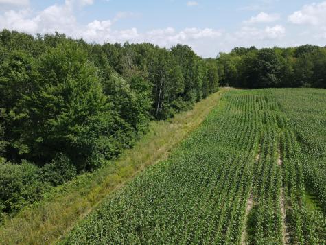Tbd Schalk Road Ogema WI 54459