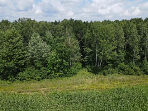 Tbd Schalk Road Ogema WI 54459