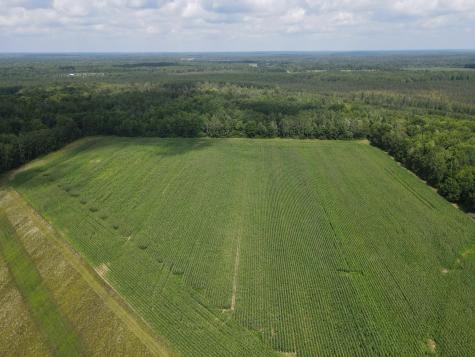 Tbd Schalk Road Ogema WI 54459