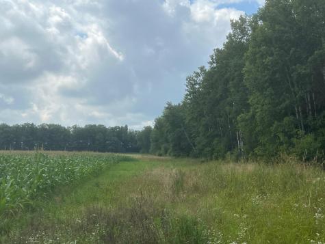 Tbd Schalk Road Ogema WI 54459