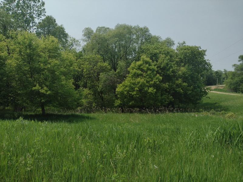 Lot 7 Block 2 Crystal Beach Road Pelican Rapids MN 56572
