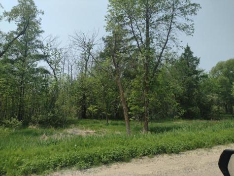 Lot 7 Block 2 Crystal Beach Road Pelican Rapids MN 56572
