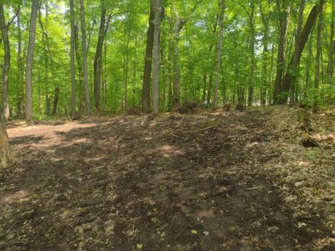 Lot 7 Block 2 Crystal Beach Road Pelican Rapids MN 56572