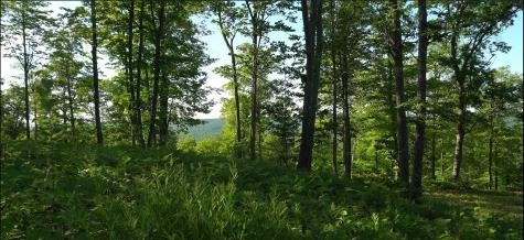 83XXX - Lot 11 Ashwabay Road Bayfield WI 54814