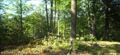 83XXX - Lot 11 Ashwabay Road Bayfield WI 54814