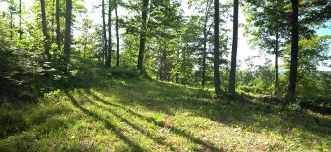 83XXX - Lot 11 Ashwabay Road Bayfield WI 54814