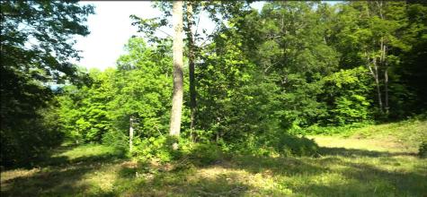 83XXX - Lot 11 Ashwabay Road Bayfield WI 54814