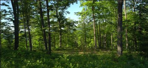 83XXX - Lot 11 Ashwabay Road Bayfield WI 54814