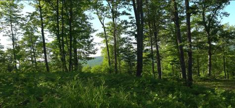 83XXX - Lot 11 Ashwabay Road Bayfield WI 54814