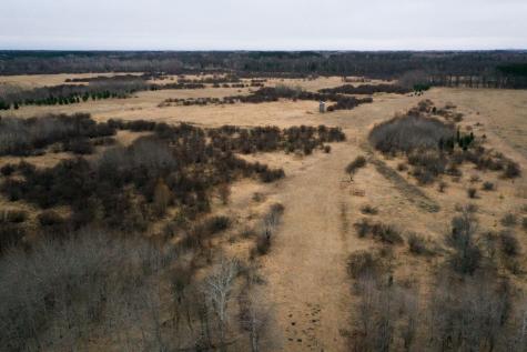 Tbd Highway 71 Wadena MN 56482