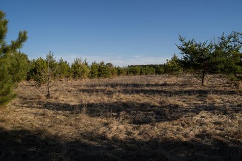 Tbd Highway 71 Wadena MN 56482