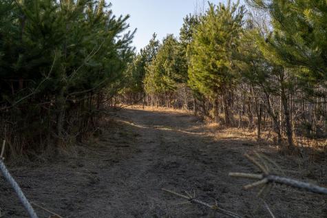 Tbd Highway 71 Wadena MN 56482