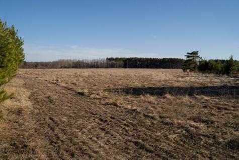 Tbd Highway 71 Wadena MN 56482