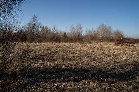 Tbd Highway 71 Wadena MN 56482