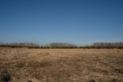 Tbd Highway 71 Wadena MN 56482