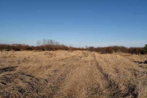 Tbd Highway 71 Wadena MN 56482