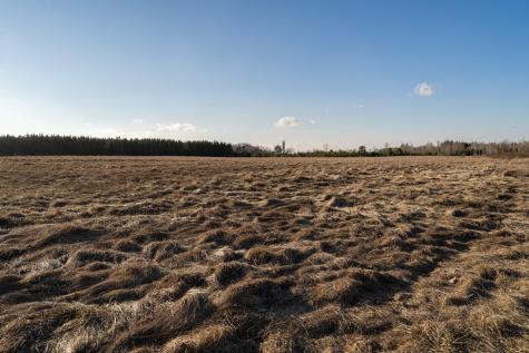 Tbd Highway 71 Wadena MN 56482