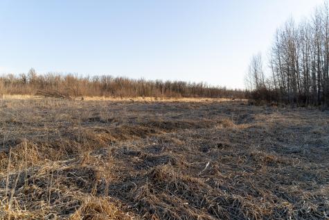 Tbd Highway 71 Wadena MN 56482