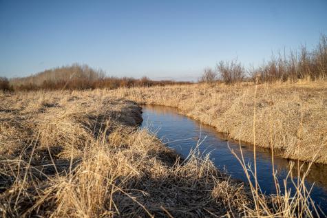 Tbd Highway 71 Wadena MN 56482