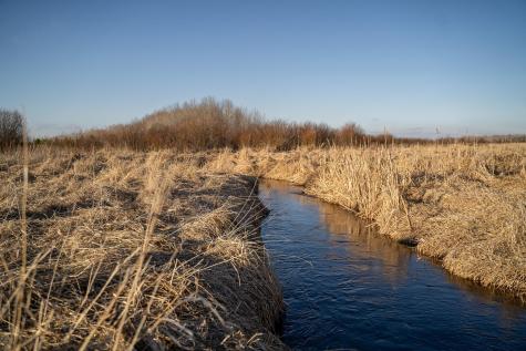 Tbd Highway 71 Wadena MN 56482