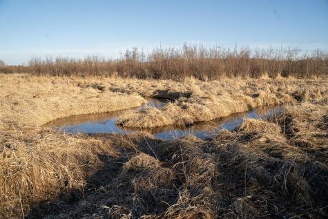 Tbd Highway 71 Wadena MN 56482