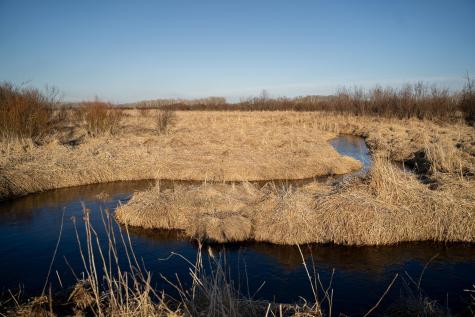Tbd Highway 71 Wadena MN 56482
