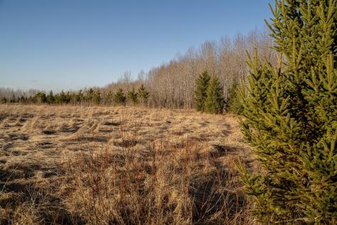 Tbd Highway 71 Wadena MN 56482