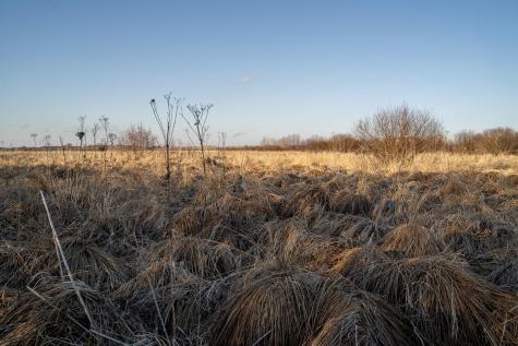 Tbd Highway 71 Wadena MN 56482