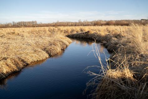 Tbd Highway 71 Wadena MN 56482