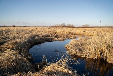 Tbd Highway 71 Wadena MN 56482