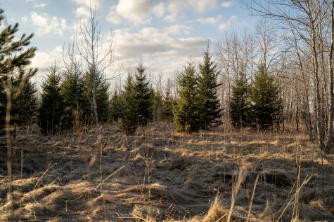 Tbd Highway 71 Wadena MN 56482