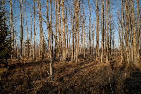 Tbd Highway 71 Wadena MN 56482