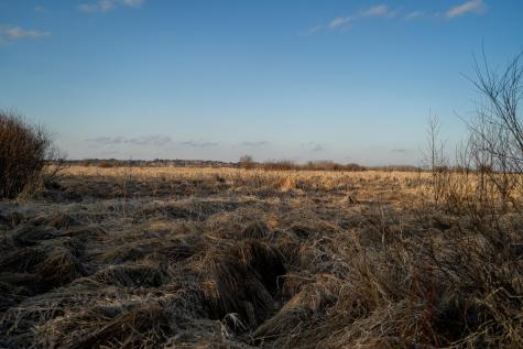 Tbd Highway 71 Wadena MN 56482