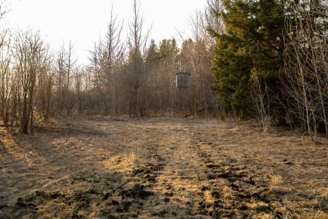 Tbd Highway 71 Wadena MN 56482