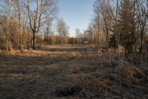 Tbd Highway 71 Wadena MN 56482