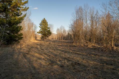 Tbd Highway 71 Wadena MN 56482