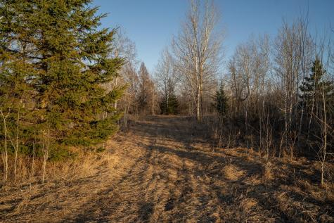 Tbd Highway 71 Wadena MN 56482