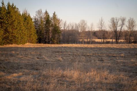 Tbd Highway 71 Wadena MN 56482